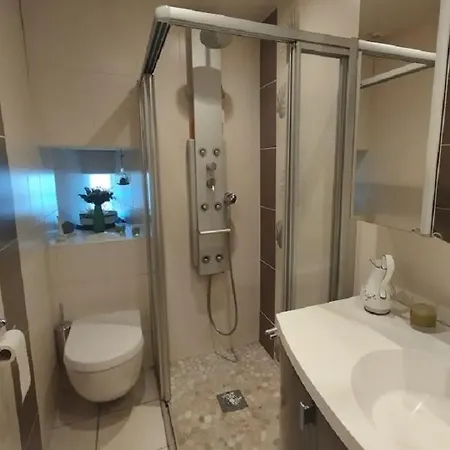 Maison Auvergnate Individuelle A * Menet